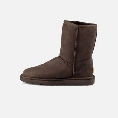 UGG Classic Short Brown, 36